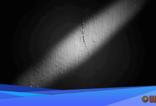 A Book Reflects on the Ritual of Playing Dead